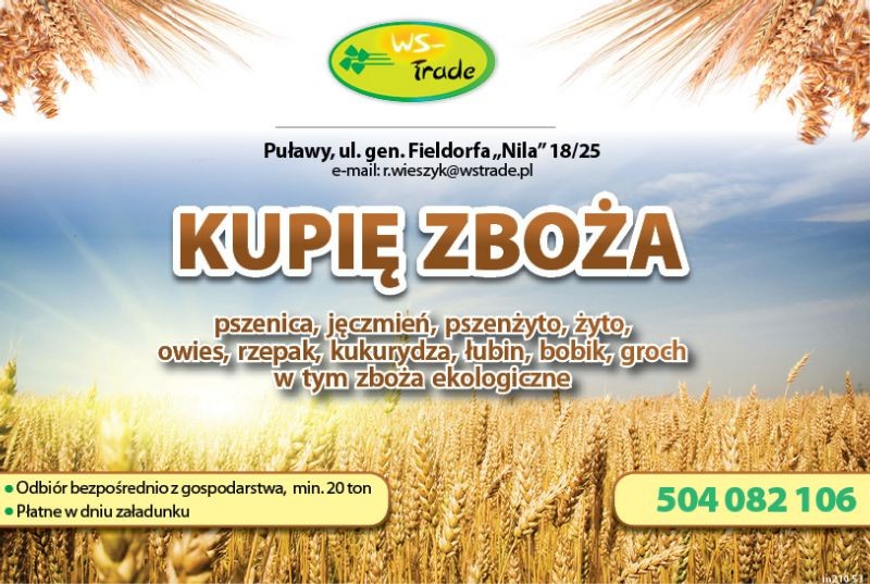 kupię len 