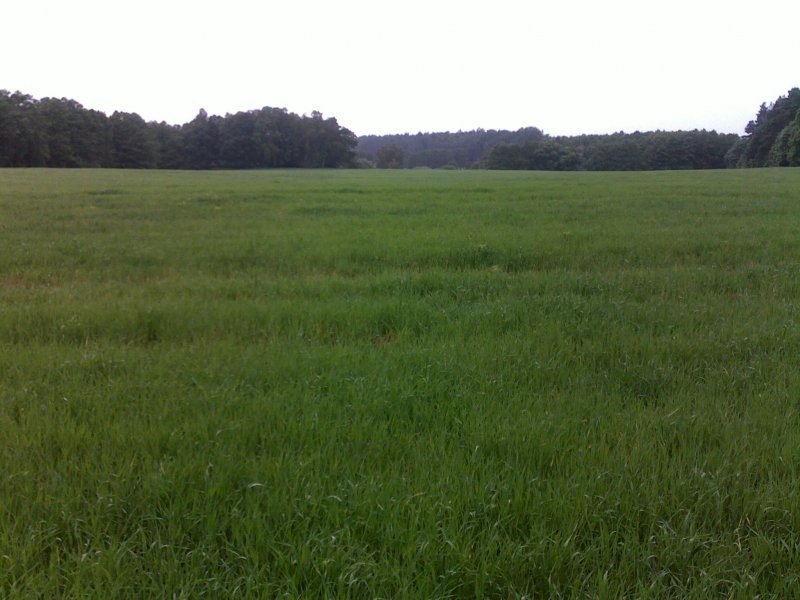 110ha zachodniopomorskie - dzierżawa — zdjęcie 4