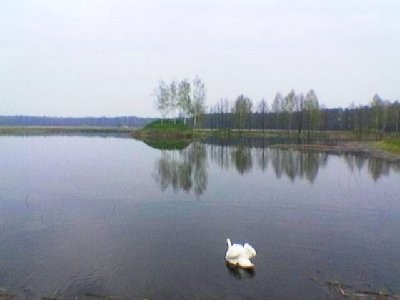 Sprzedam gospodarstwo rybackie 100ha, łódzkie — zdjęcie 1