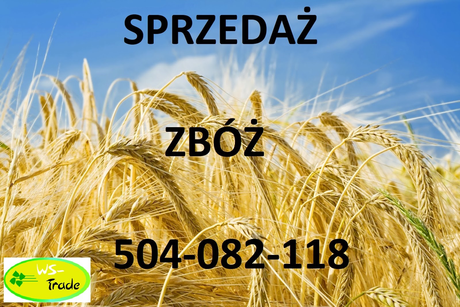 Żyto konsumpcyjne