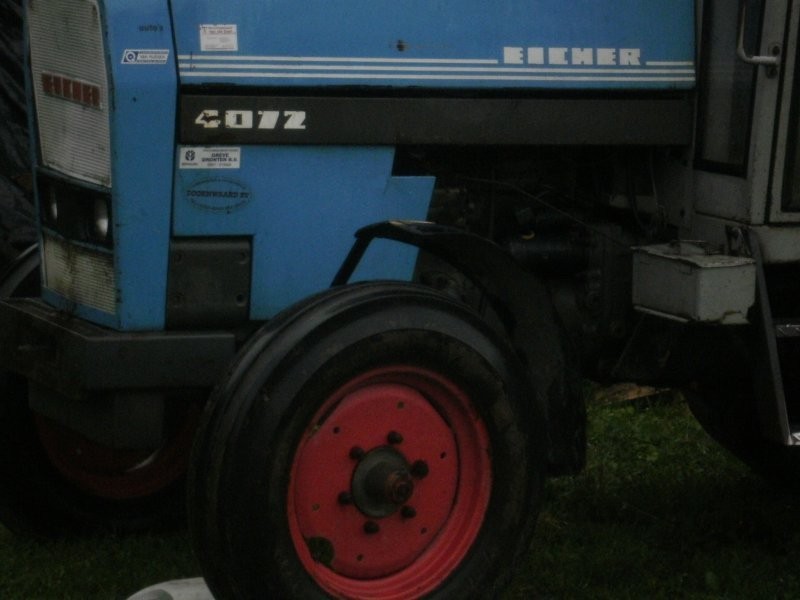 ciognik — zdjęcie 2