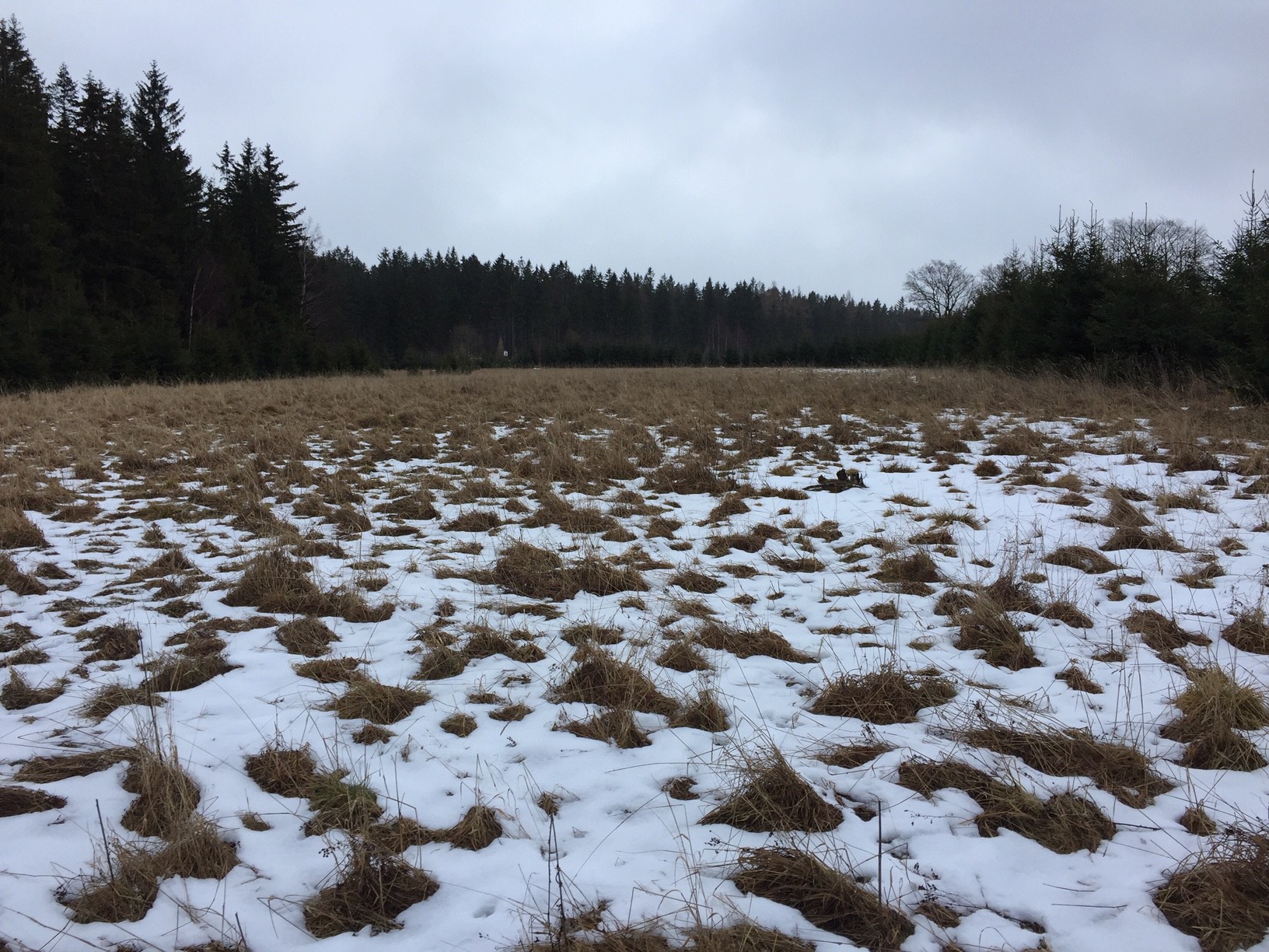 ZIEMIA ROLNA — zdjęcie 1