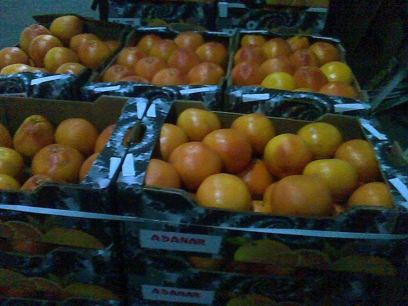 Grapefruit