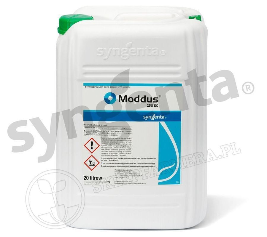 Moddus 250 EC 20L Regulator wzrostu roślin