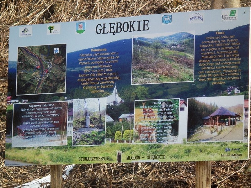 GOSPODARSTWO ROLNE W GÓRACH 1,66 ha, powiat N.SĄCZ — zdjęcie 1
