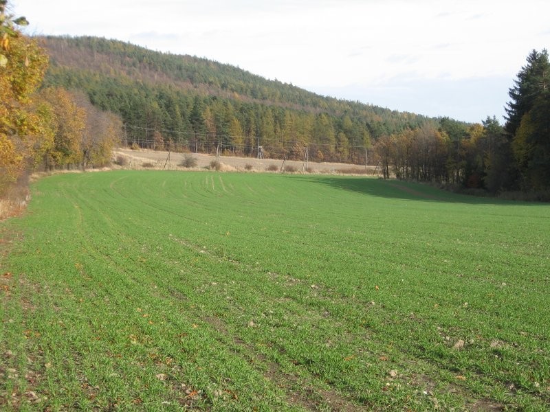 atrakcyjne grunty , działki — zdjęcie 2