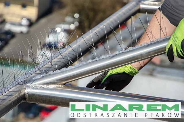 Montaż kolców na ptaki. Montaż kolców przeciw gołębiom.