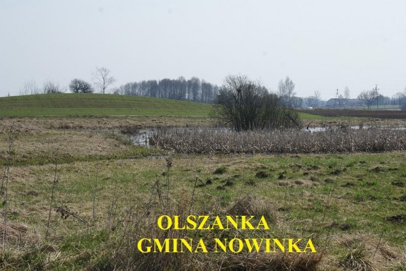 (33) Działka przy drodze krajowej numer 8 — zdjęcie 2