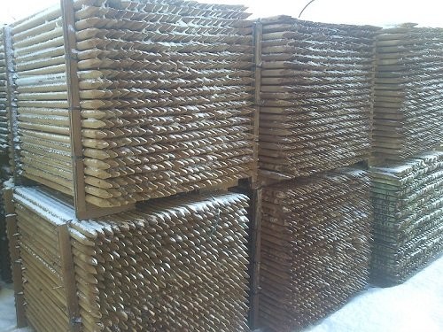 paliki do drzewek akacja , osika sona 5x250cm — zdjęcie 3