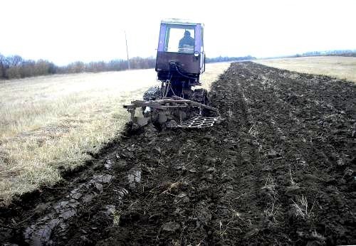 Ukraina. Gospodarstwa rolne, grunty, działki leśne — zdjęcie 4