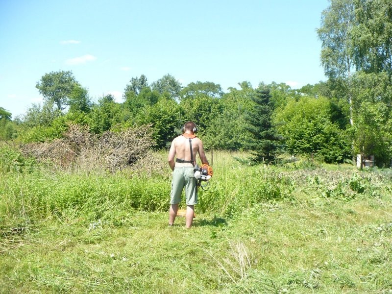 SCINKA DRZEW, KARCZOWANIE TERENU POD BUDOWE, — zdjęcie 1