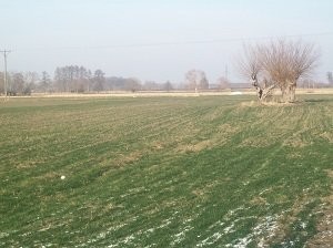 Gospodarstwo rolne na sprzedaż. — zdjęcie 3