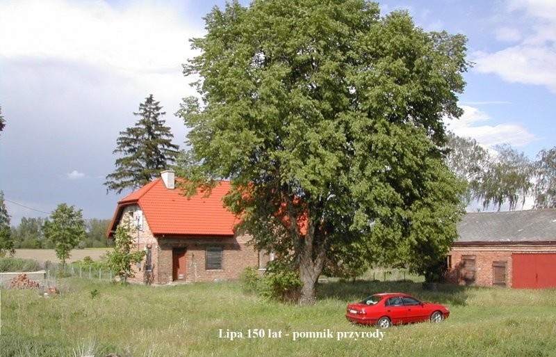 Nieruchomośc siedliskowa - mazowieckie- 0/Płocka — zdjęcie 3