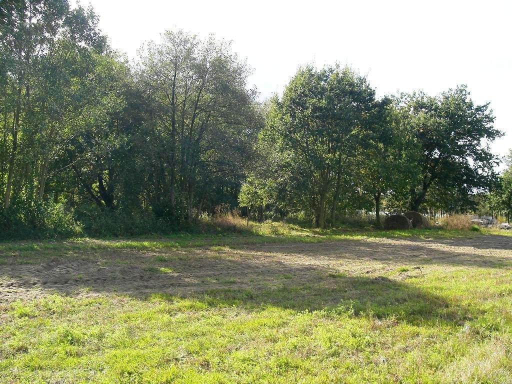 Dzialka budowlana w Grojcu Malym , 6300 m2 	 — zdjęcie 4
