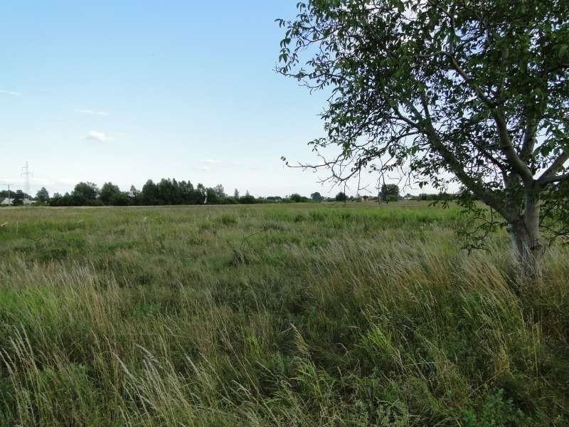 Dzialka 2,6ha z morzliwoscia podzialu w Gorzowie. — zdjęcie 3
