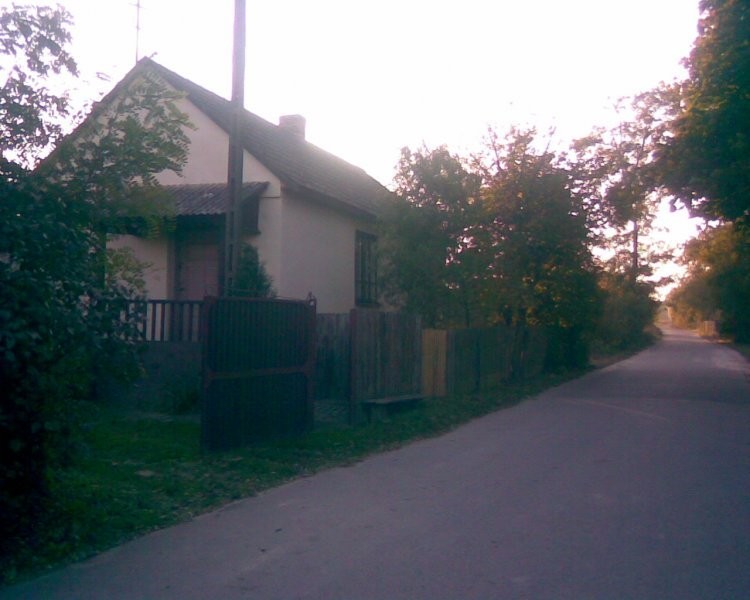 gospodarstwo rolne i budynki — zdjęcie 4