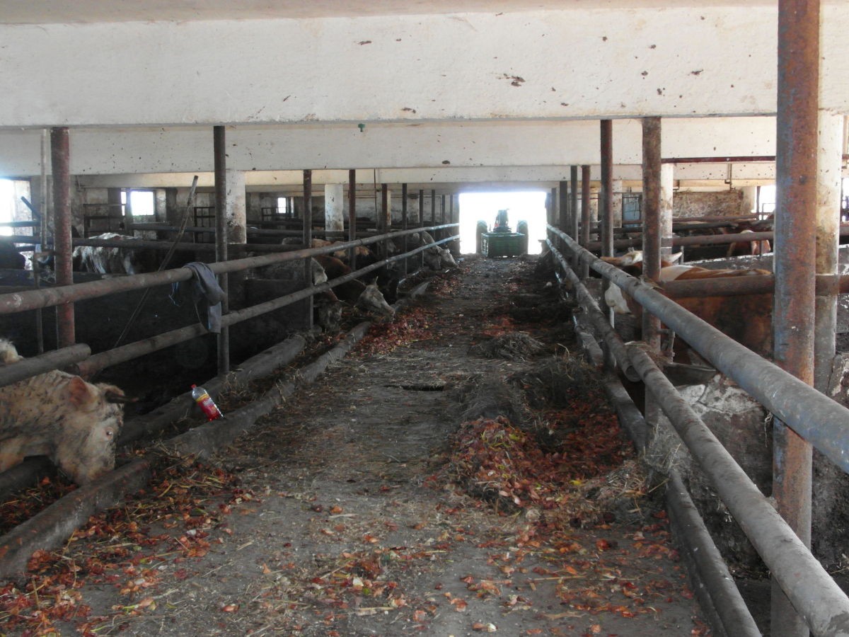Gospodarstwo rolne 47,5ha Blizienko — zdjęcie 14