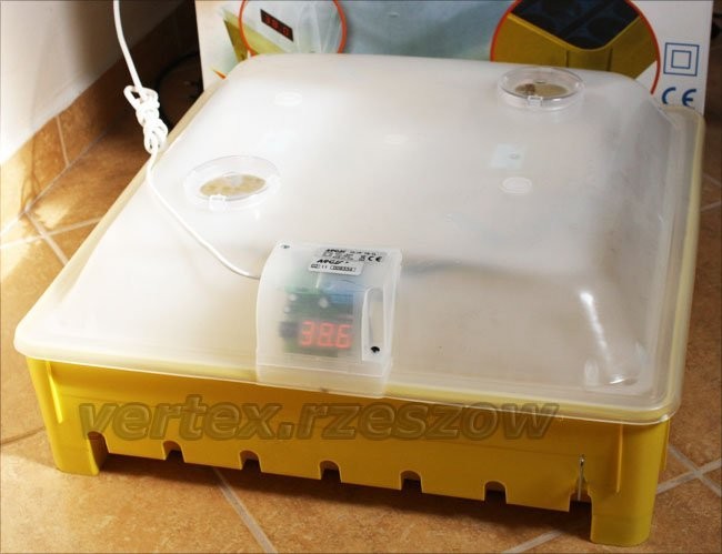 Inkubator Wylęgarka Klujnik Półautomat wyśw. LED! — zdjęcie 3