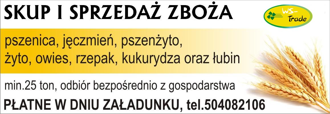 skup zboża pszenica pszenżyto pwies jeczmień żyto groch bobik