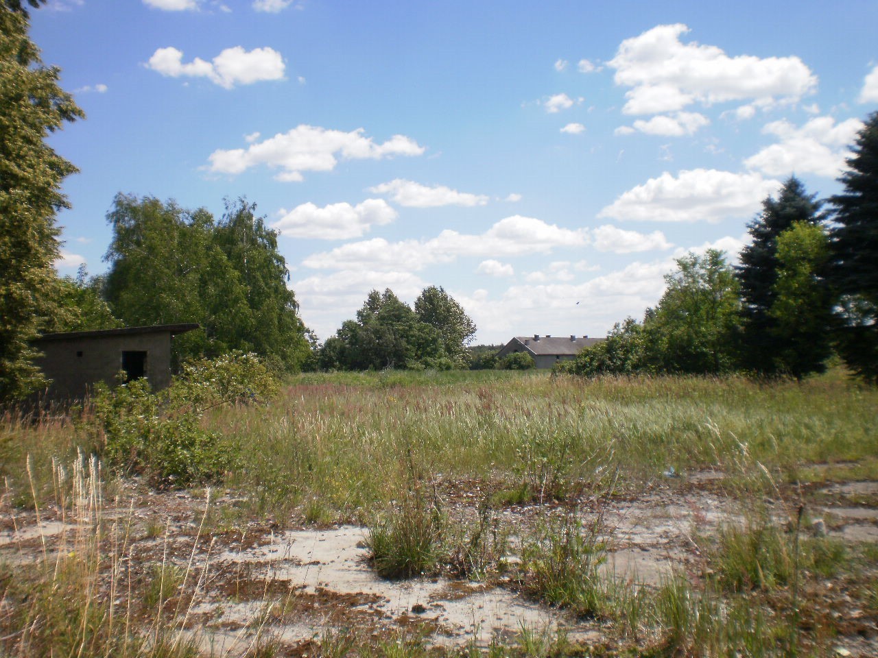 ŻARNOWIEC ŚLĄSKI sprzedam 11 ha — zdjęcie 2