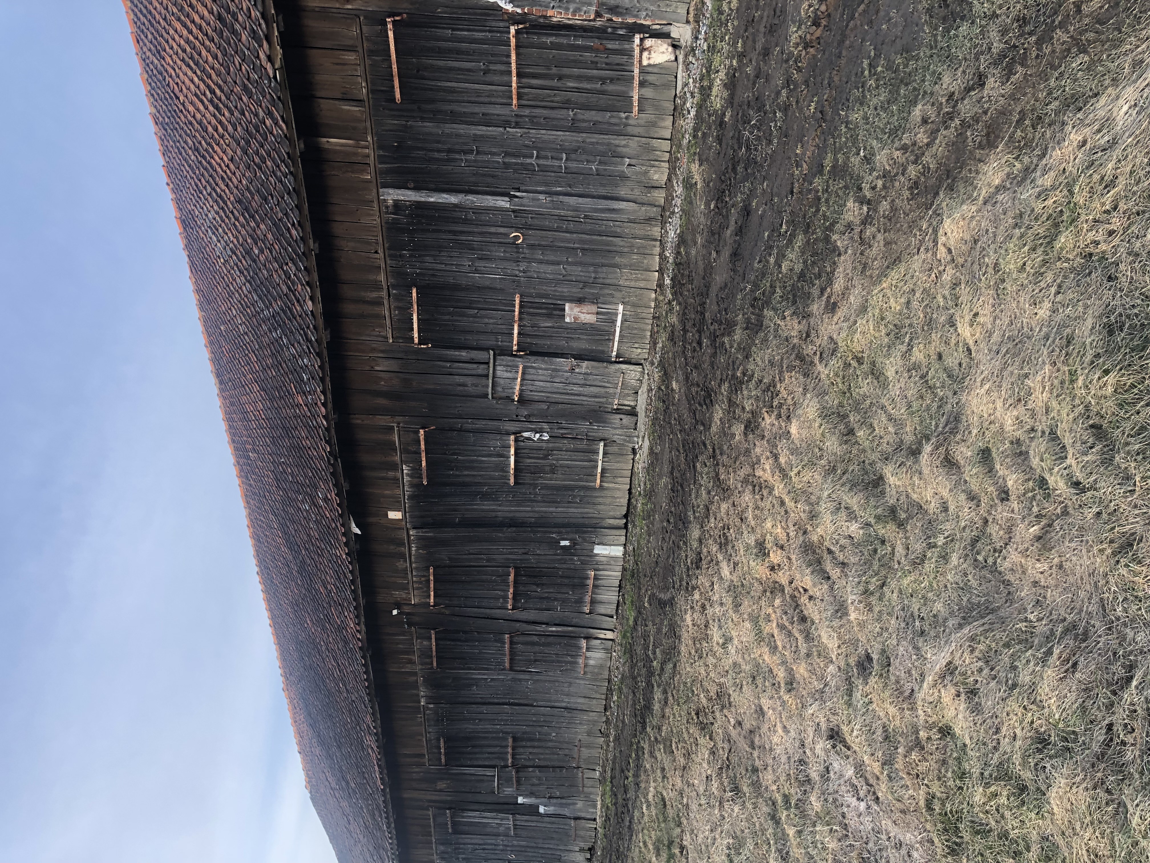 Gospodarstwo rolne 16,87 ha z zabudowaniami  Wirwilty, gm. Bartoszyce — zdjęcie 2