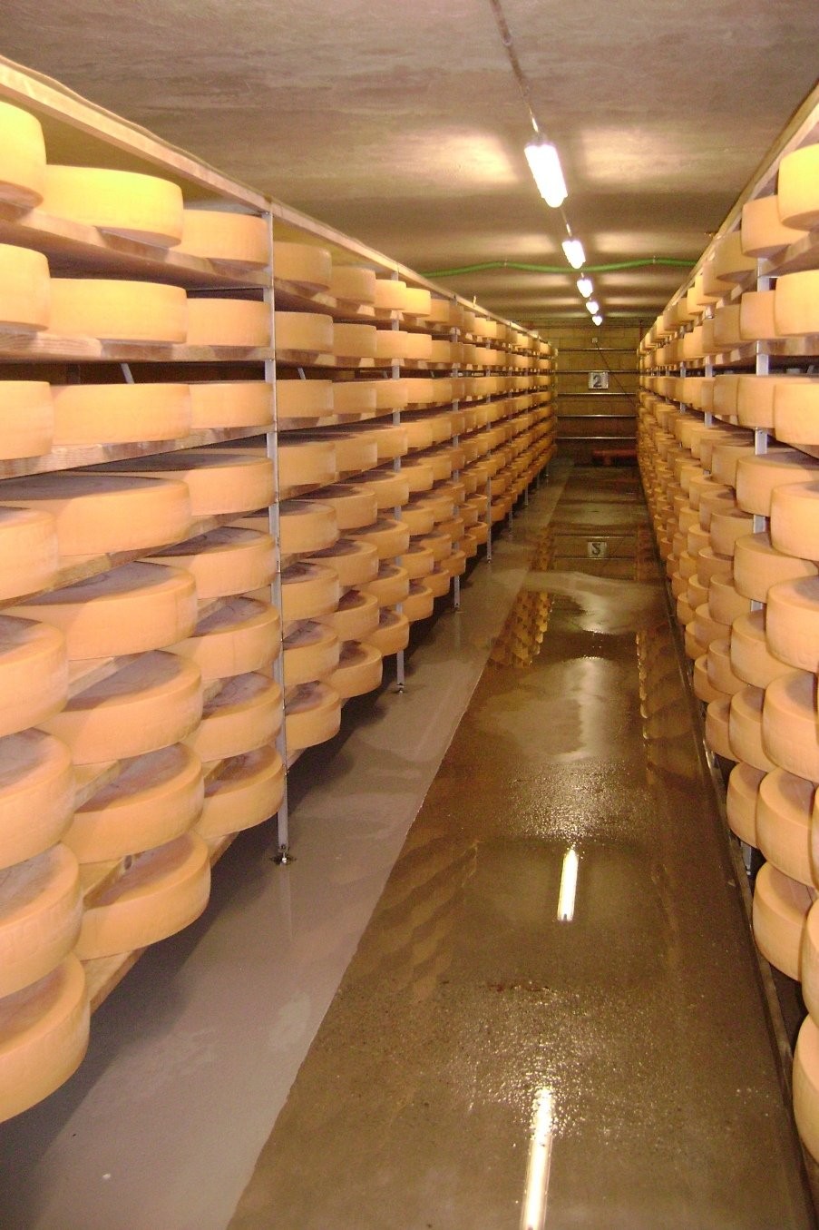 SERY Gruyere, Vacherin Fribourgeois AOC