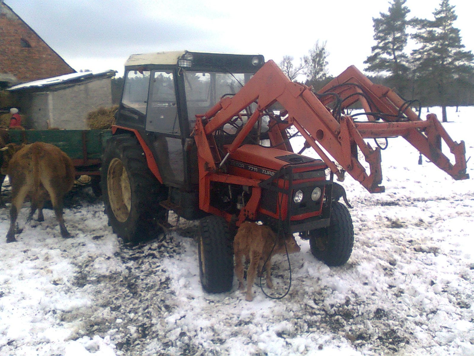 Zetor - tur  do zetora - tur ,ladowacz czolowy — zdjęcie 1