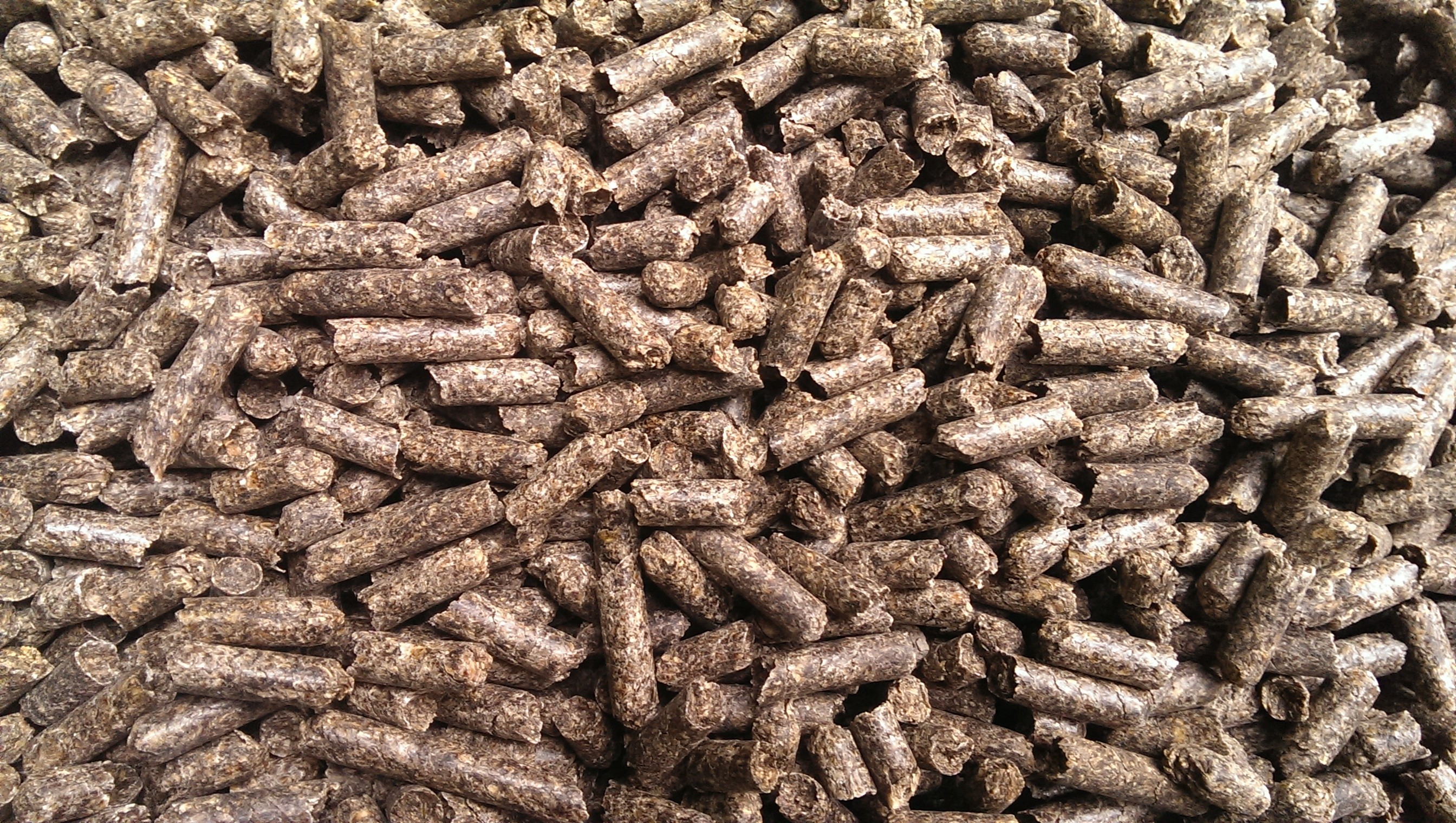 Wysłodki buraczane niemelasowane 8 mm