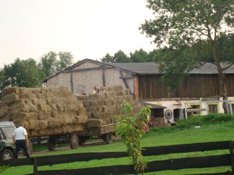 Gospodarstwo agroturystyczne, stajnia