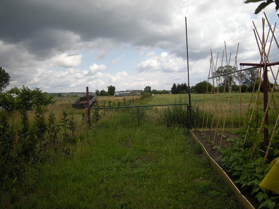 DZIAŁKA SIEDLISKOWA O POW. 5001 M2 W GORZOWIE WLKP — zdjęcie 2