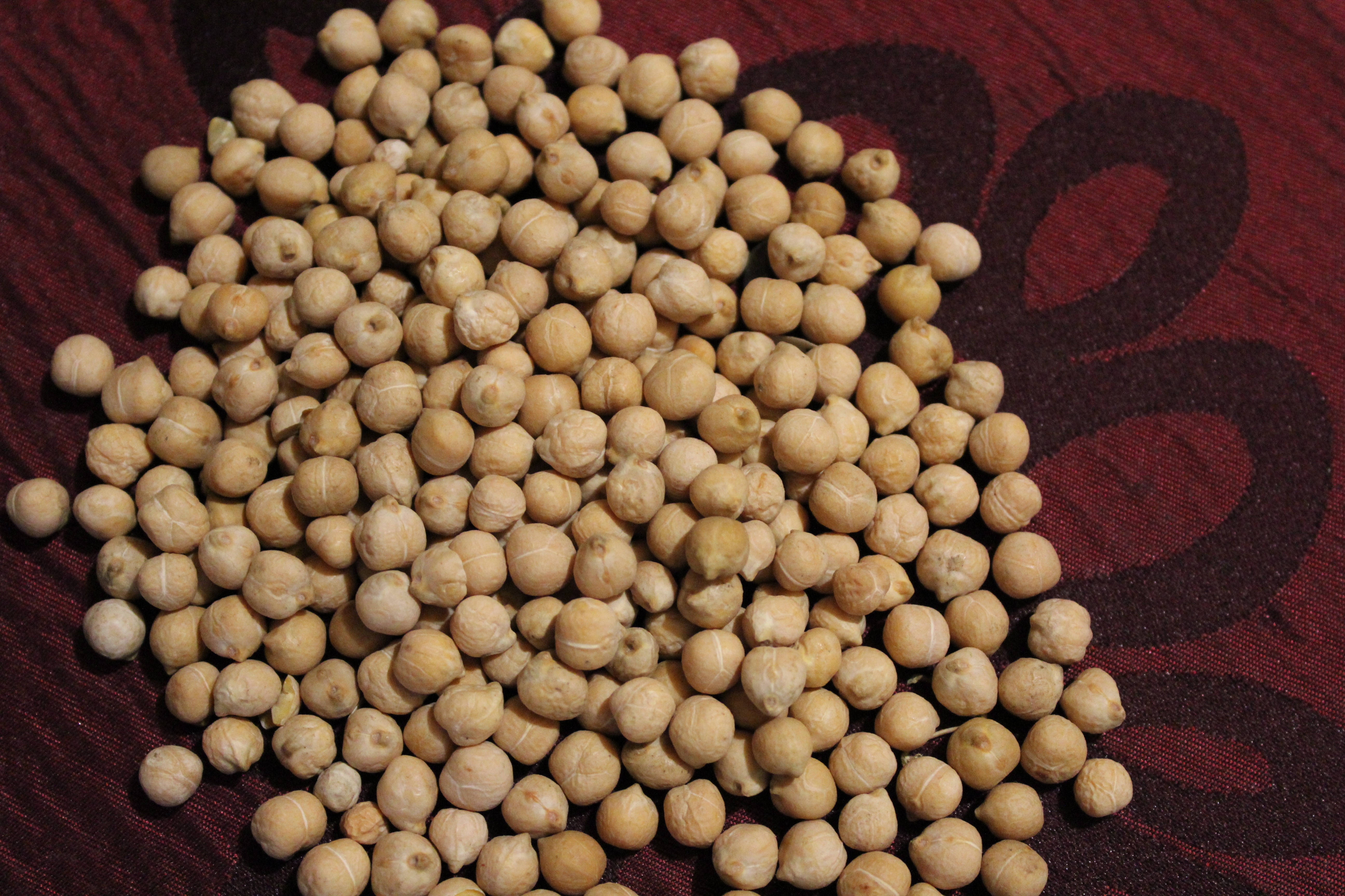 Len, Wyka, Fasola, Ciecierzyca, Proso, Gorczyca, Kanar — zdjęcie 4