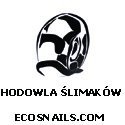 ZARABIAJ NA HODOWLI ŚLIMAKÓW