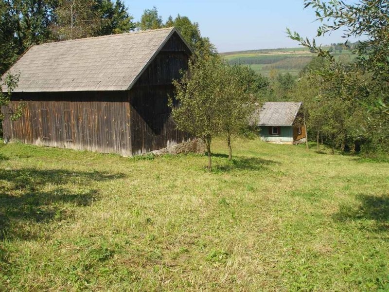 Sprzedam gospodarstwo rolne ok. 2 ha, dom, stodoła — zdjęcie 2
