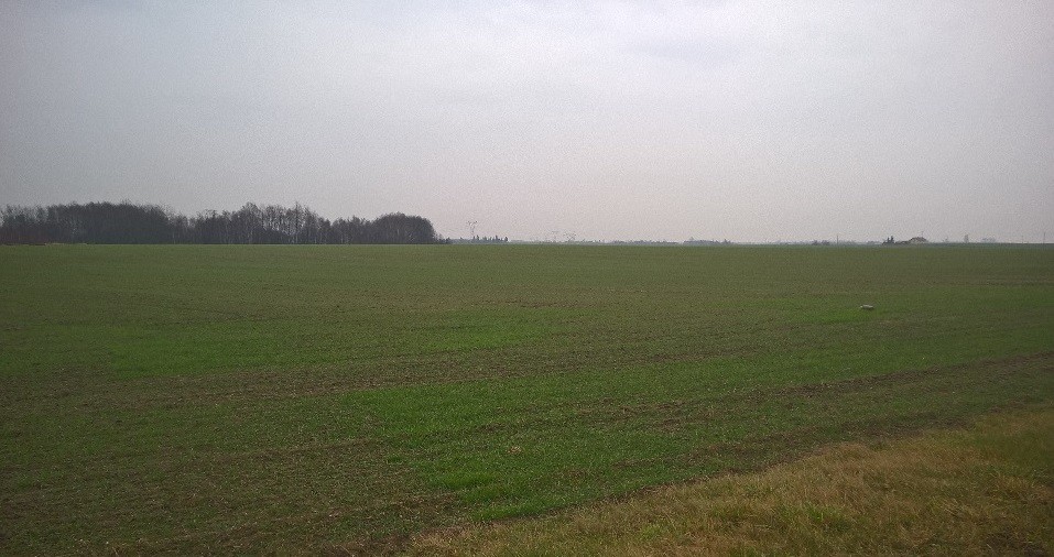 sprzedaż gruntów rolnych