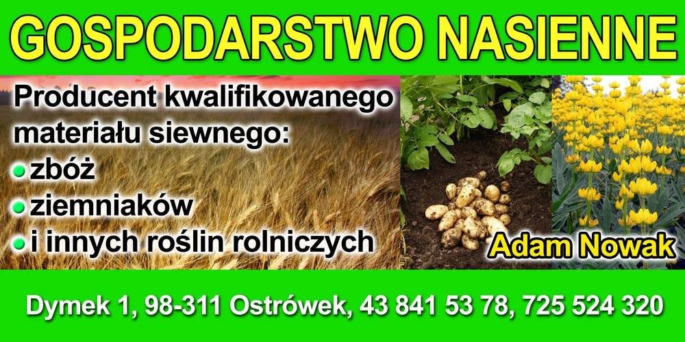 OFERTA NASIENNA – WIOSNA 2015 - Zboża - Ziemniaki Sadzeniaki — zdjęcie 3