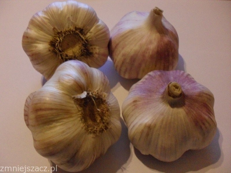 Sprzedam CZOSNEK (fioletowy) — zdjęcie 1
