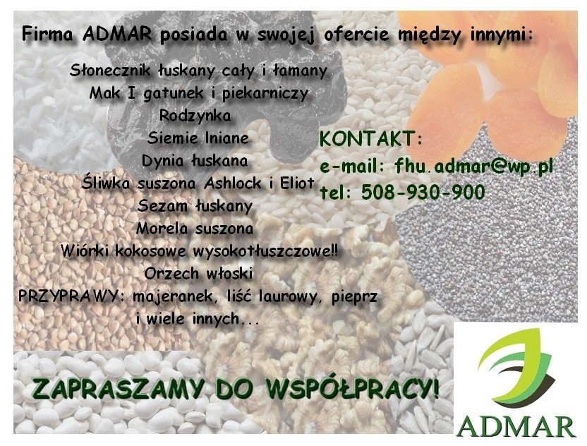 słonecznik łuskany TANIO SPRZEDAM — zdjęcie 2