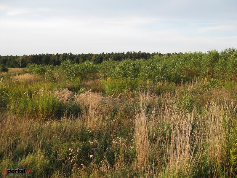 działka rolno-budowlana
