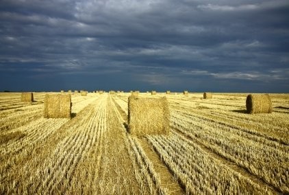 Kupie słome ilości samochodowe