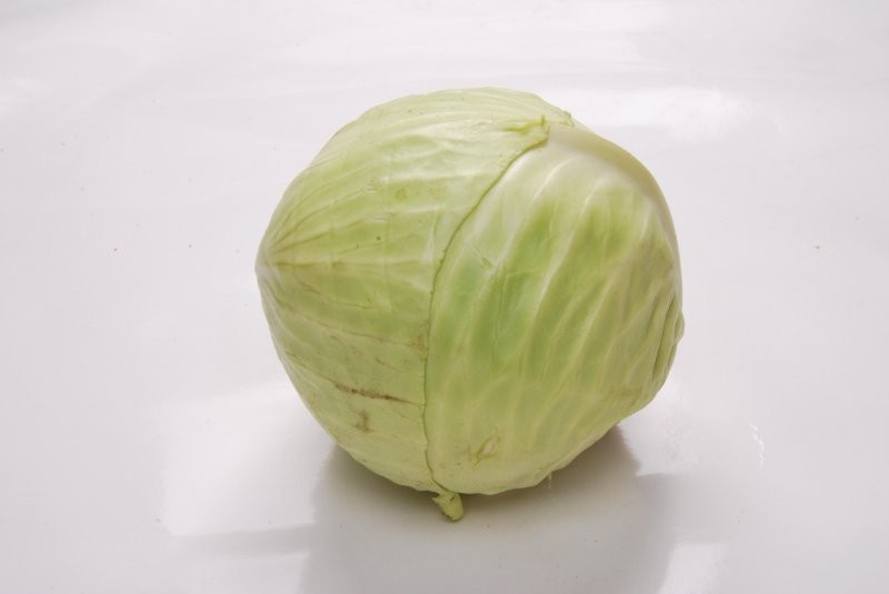 Kapusta Biała