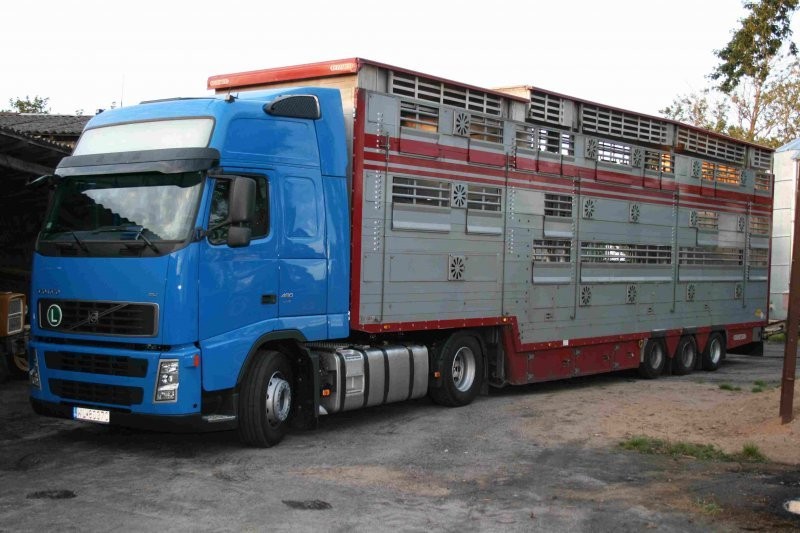 USŁUGI TRANSPORTOWE — zdjęcie 1