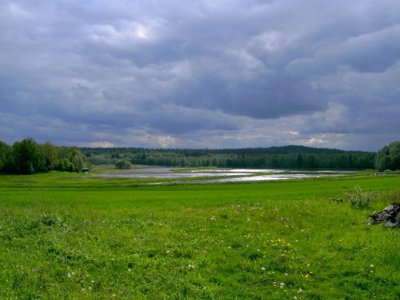 sprzedam Stawy hodowlane — zdjęcie 2