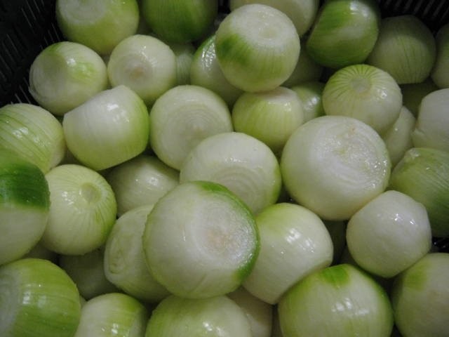Cebula Obrana.