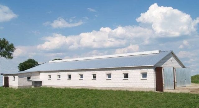 Płyty warstwowe - Płyty świetne do przykrycia Obory, Chlewni, Kurnika, — zdjęcie 2