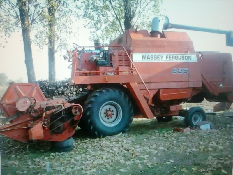 Masse ferguson 825 — zdjęcie 1