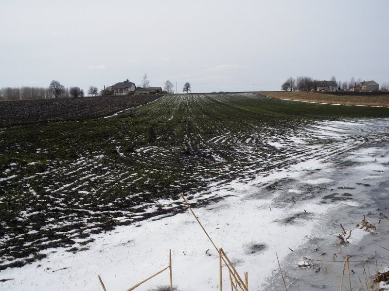 1,3ha kl. II - IIIa, cana za całość — zdjęcie 4