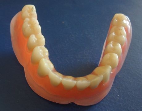 techniki dentystyczne, zgierz — zdjęcie 3