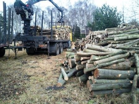 Drewno kominkowe! Transport GRATIS !! Łódź,łódzkie — zdjęcie 3