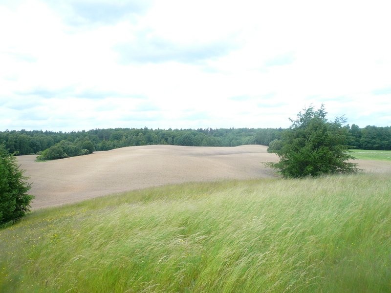 Sprzedam grunty rolne 47,56 ha w jednym kawałku — zdjęcie 2