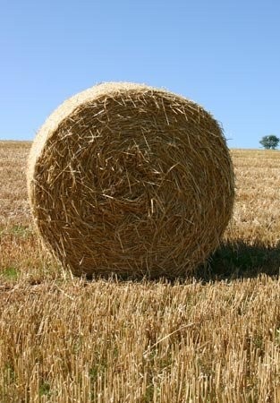KUPIĘ SŁOMĘ, SIANO